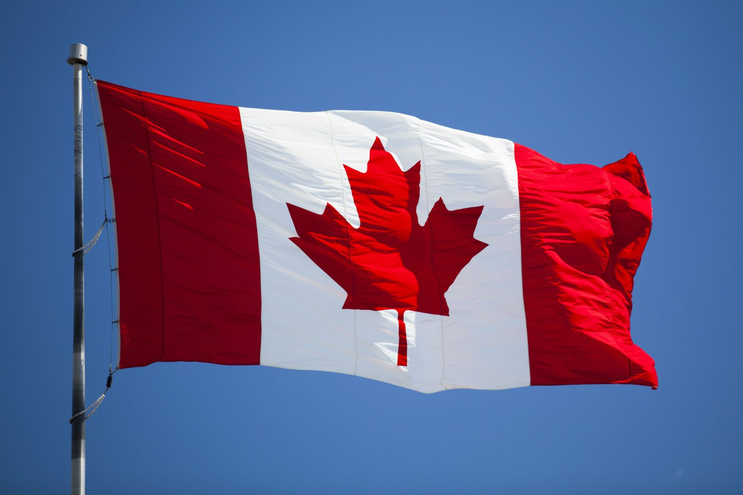 Foreign Capital Wants Canadian Tech. The Infrastructure Connecting Them Is Broken.